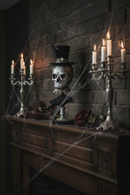 Load image into Gallery viewer, Karen Didion Originals HA20-04 Silver Skull Pedestal