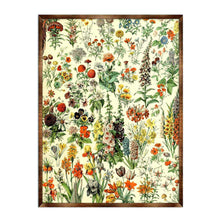 Load image into Gallery viewer, Flowers Montessori Wooden Poster - Homeschool I Educational Poster - Classroom Decor - Aesthetic - 310222