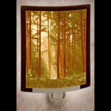 Load image into Gallery viewer, The Porcelain Garden Night Lights
