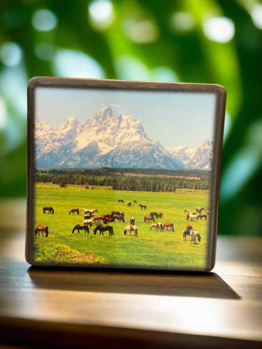 illustrated light art block-horses grazing 