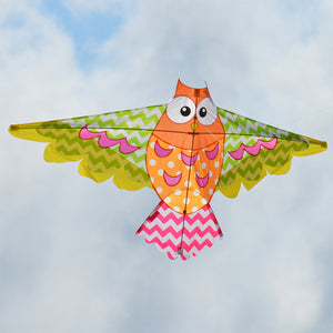 Premier Kites Rainbow Owl Kite