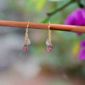 Pom Jewelry Amethyst & Tanzanite Earrings In Gold Fill-PE18V7