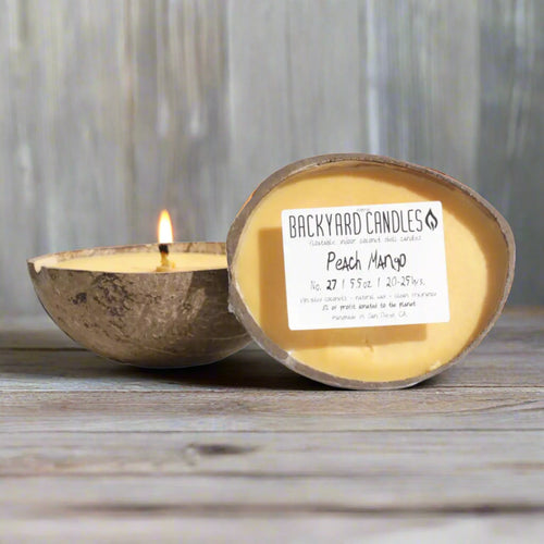 Backyard Candles 5.50z Coconut Shell Candle- Peach  Mango