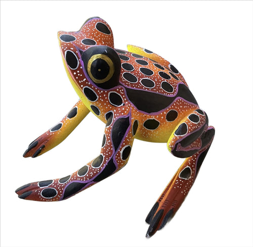 Oaxacan Frog- Blas