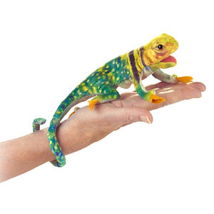 Folkmanis Mini Collared Lizard Hand Puppet Media 1 of 1