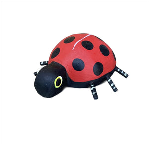 Oaxacan Ladybug