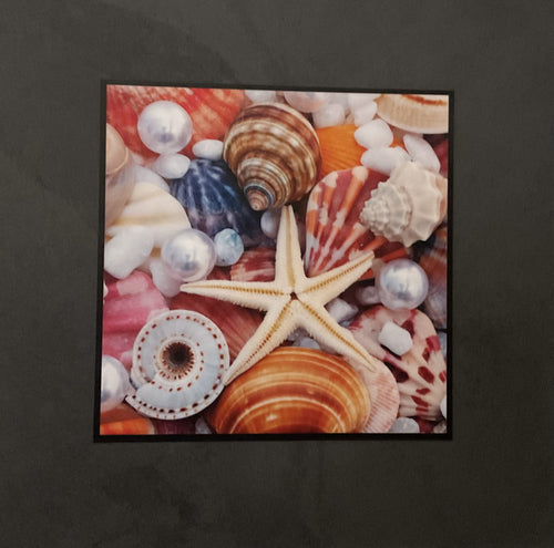 Illustrated Light Slate Picture- SPC24