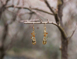 Pom Jewelry Citrine & Blue Topaz Earrings In Gold Fill-PEBC5