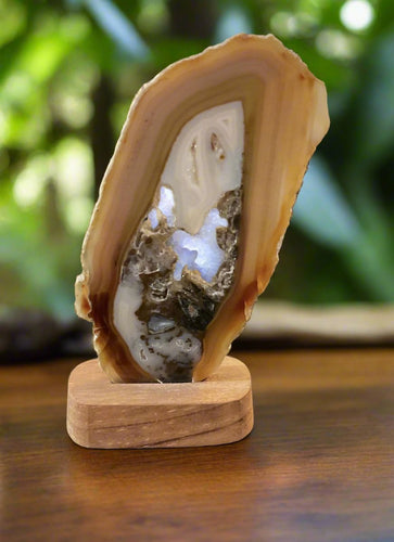 Natural Carnelian Slice Geode