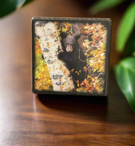 illustrated light art block=- bear in tree 