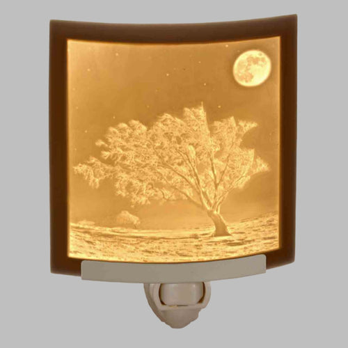 The Porcelain Garden Nightlight- FROSTY MOON NR324