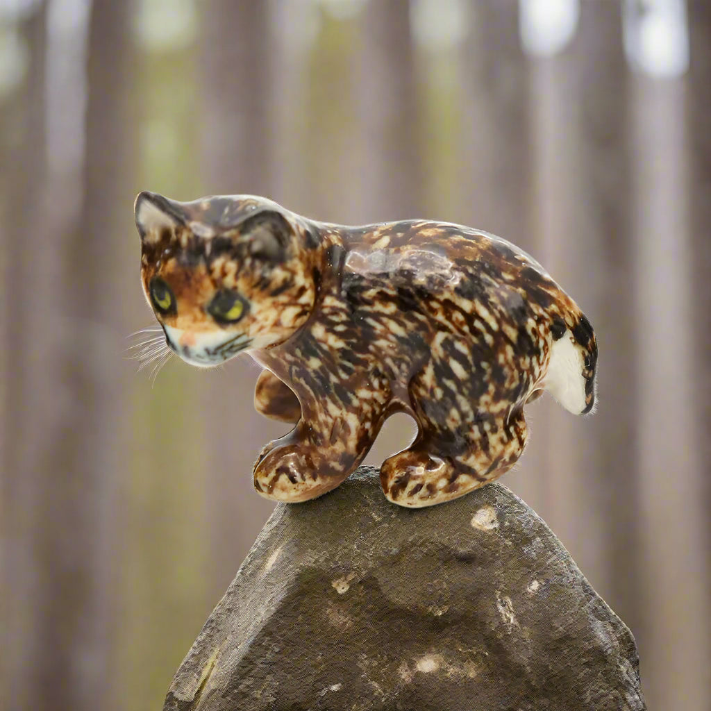 Little Critterz Bobcat Kitten 