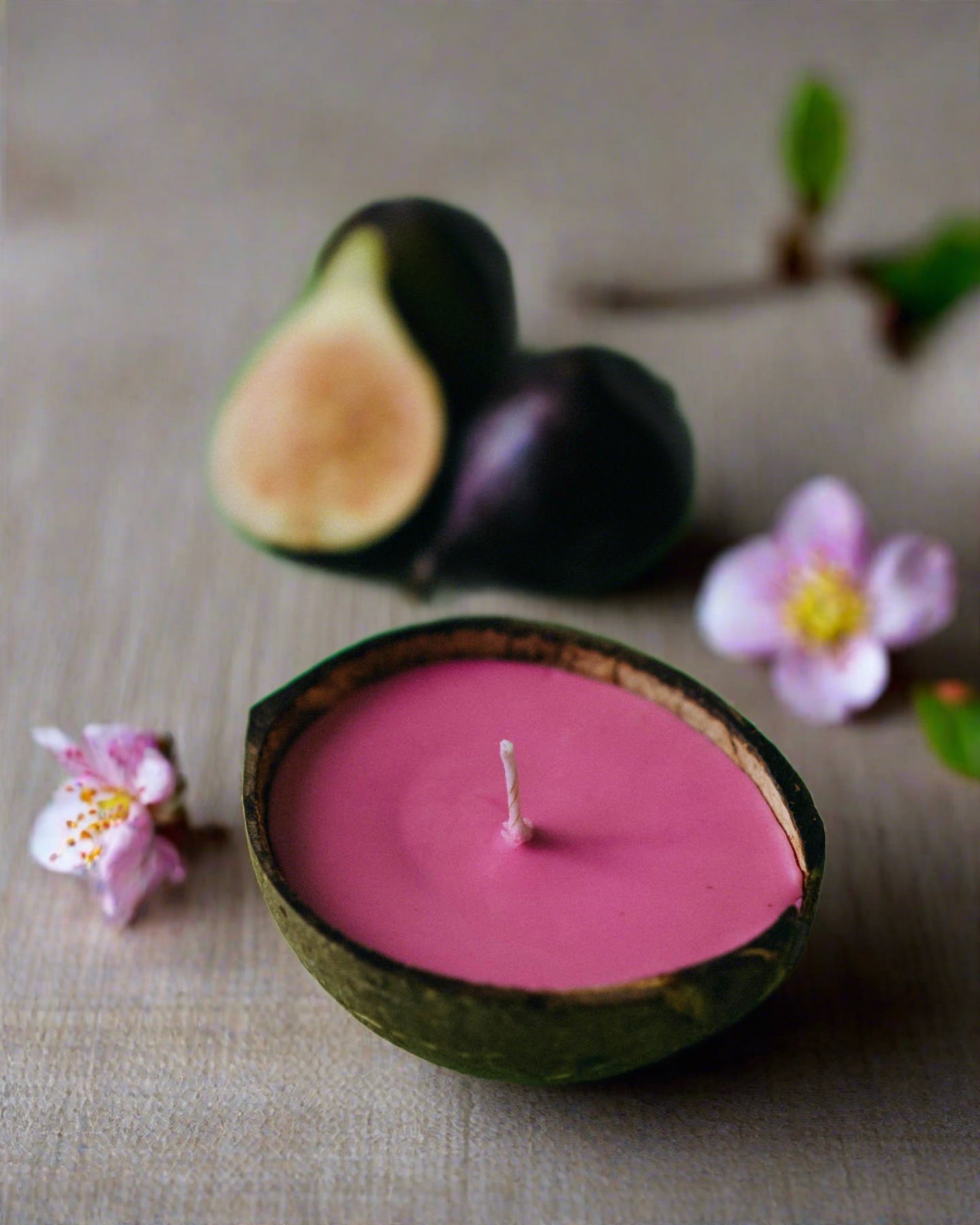 Backyard Candles Coconut Shell Candle 5.5oz- Fig & Plum