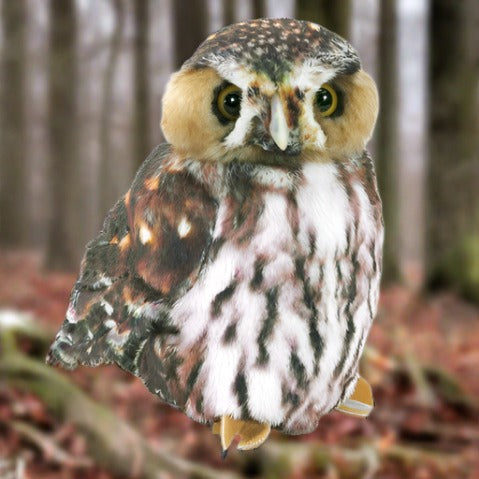 Folkmanis Owl, Pygmy Hand Puppet