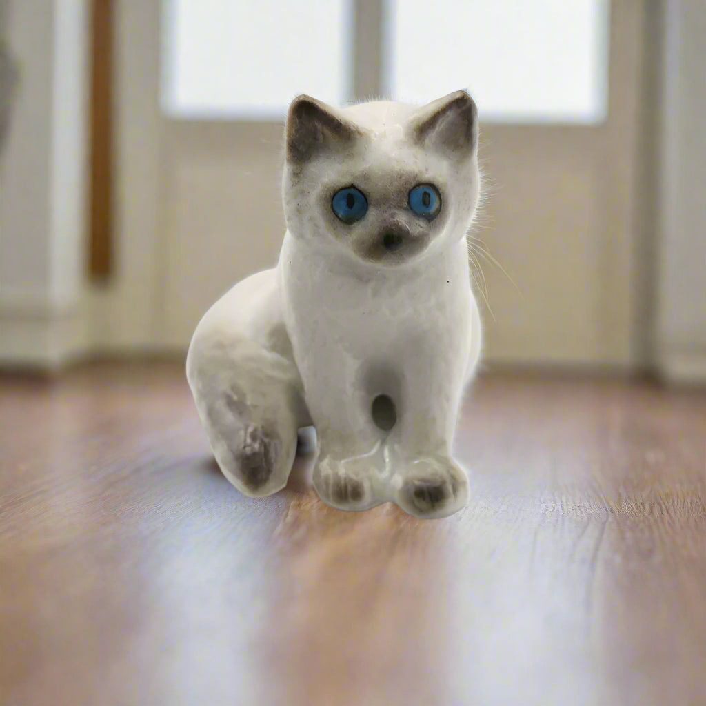 Little Critterz Kitten - Ragdoll Kitten 