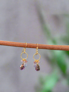 Pom Jewelry Amethyst & Tanzanite Earrings In Gold Fill-PE96G