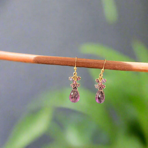 Pom Jewelry Amethyst & Tanzanite Earrings In Gold Fill- PEAT5