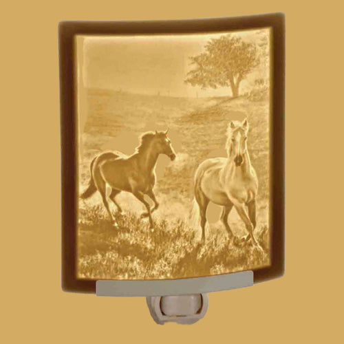 The Porcelain Garden Nightlight-MORNING RUN-NR99