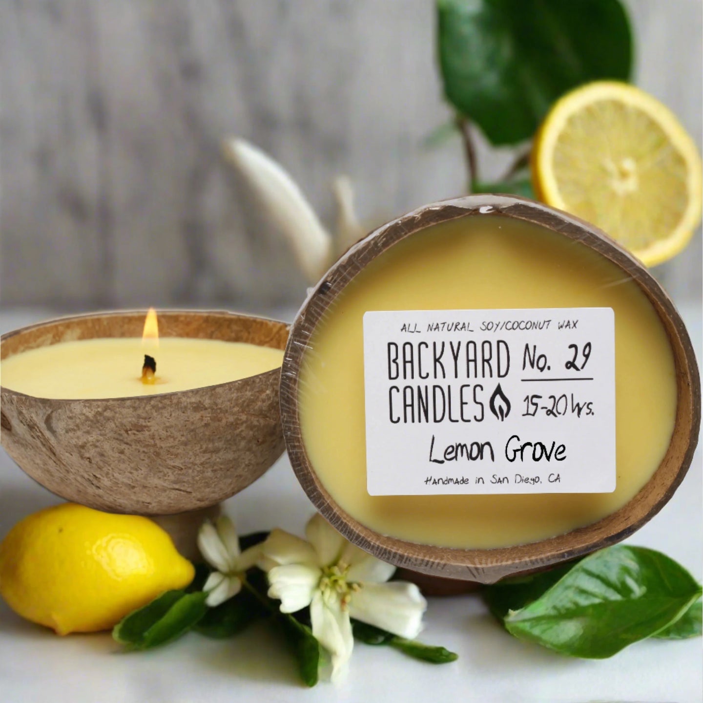 Backyard Candles Coconut Shell 5.5oz Candle-Lemon Grove