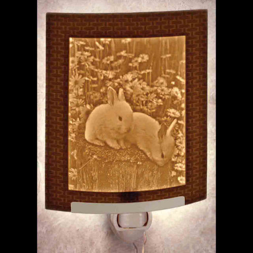 Porcelain Gardens Lithophane Night Light- Baby Bunnies