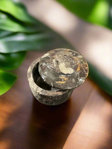 high polished ammonite fossil jar with lid 