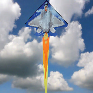 Premier Kites 2D Jet Kite - F-22 Raptor