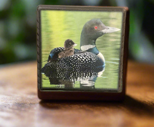 Illustrated Light Art Block- Ducks 