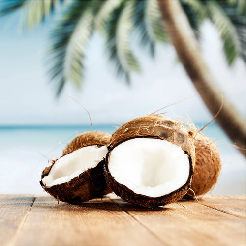 Backyard Candles 5.5oz Coconut Shell Candle-Santal & Coconut