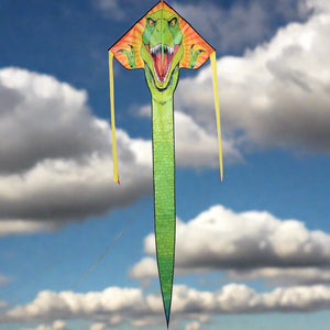 Premier Kites Easy Flyer Kite - T-Rex