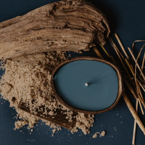 Backyard Candles 5.5oz Coconut Shell Candle- Beach At Night