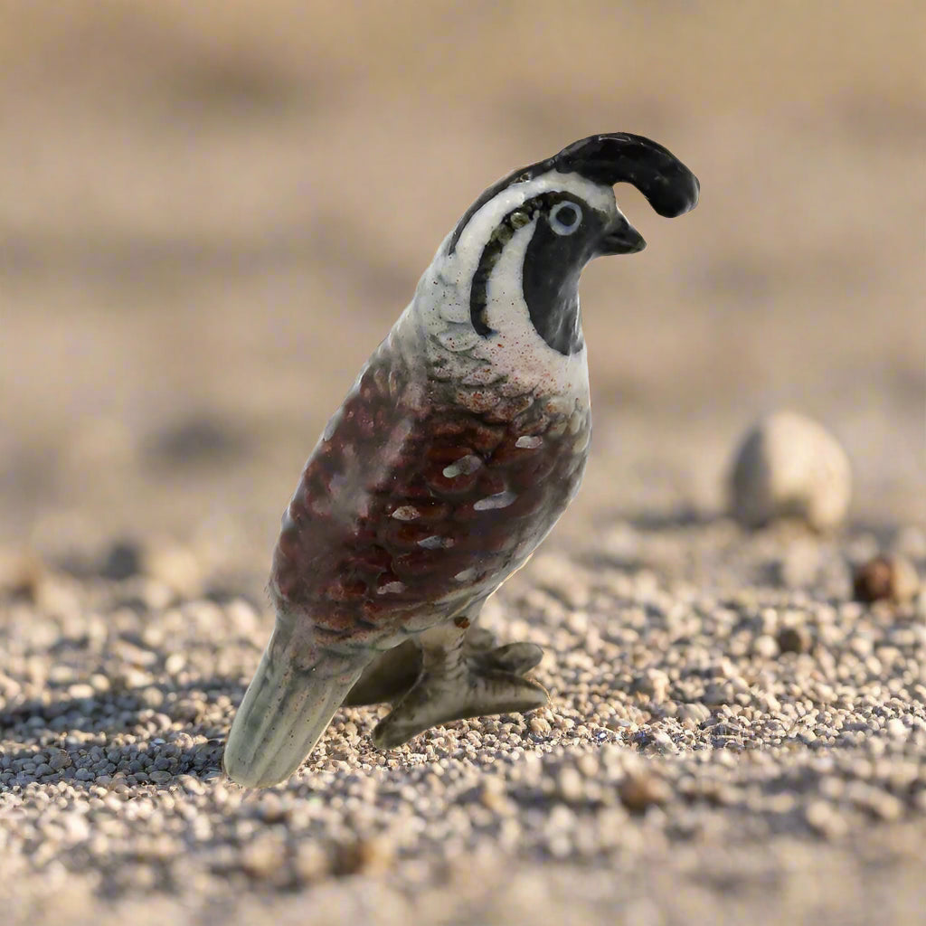 Little Critterz Bird - California Quail 