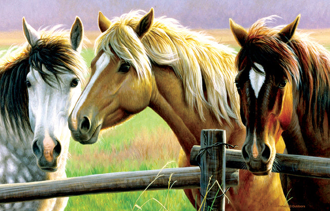 Sunsout Horse Fence  1000 Piece Puzzle