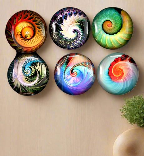 world buyers natuilus art dome magnets 