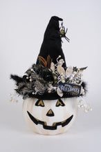 Load image into Gallery viewer, Karen Didion Originals HA025 Lighted White Fiber Optic Pumpkin
