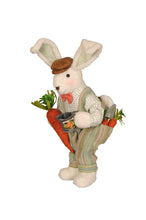 Load image into Gallery viewer, Karen Didion Originals SP005 Carrot Garden Bunny
