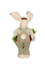 Load image into Gallery viewer, Karen Didion Originals SP005 Carrot Garden Bunny
