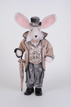 Load image into Gallery viewer, Karen Didion Originals SP047 Fred Bunny
