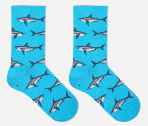 HOTSOX Kid's Great White Sharks Socks L/XL