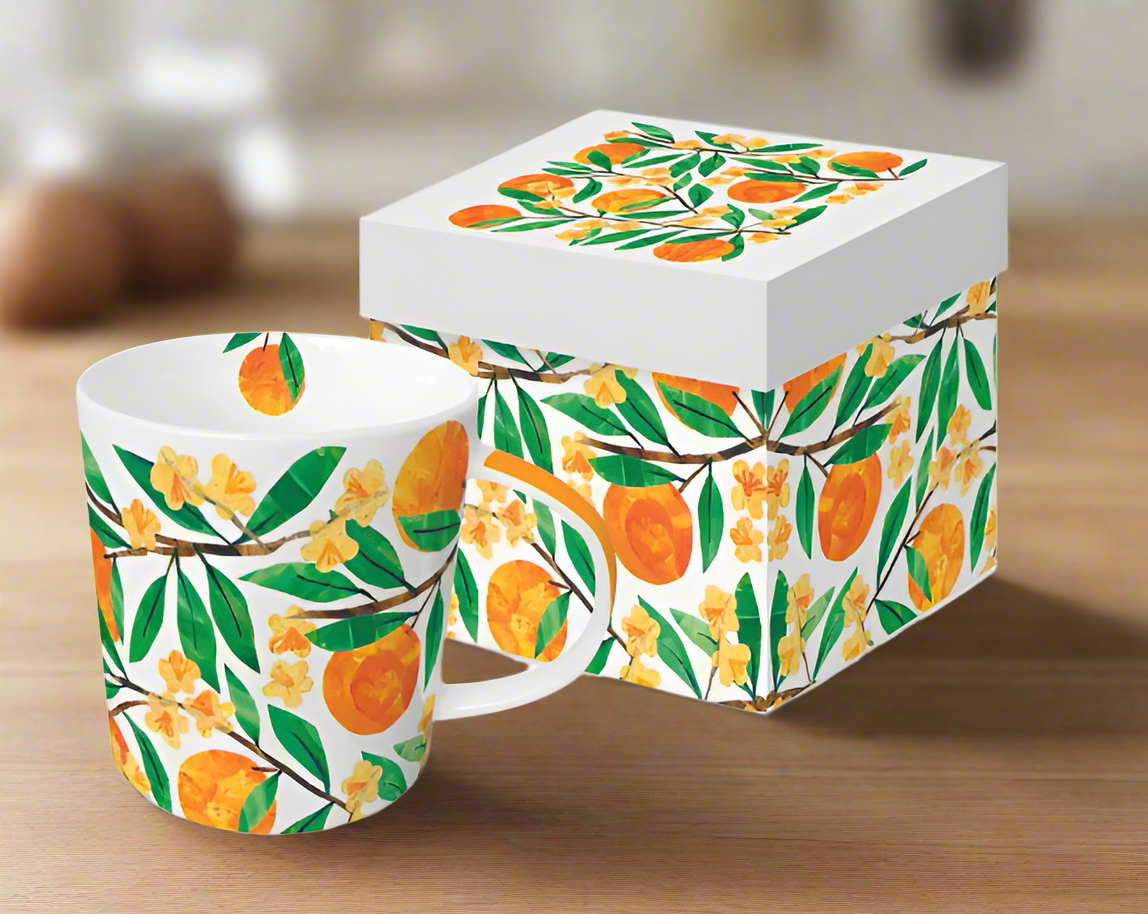 Paper Products Design Tracey´s Orangina Gift-Boxed Mug