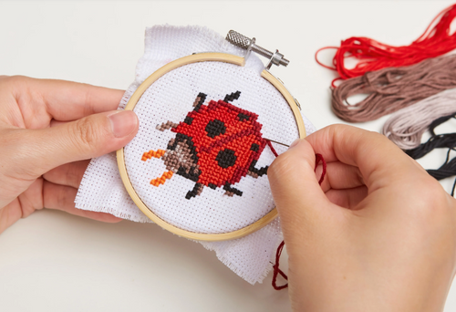 Kikkerland Ladybug Mini Cross Stitch Embroidery Kit