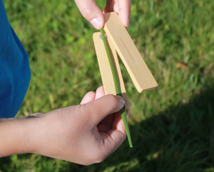 Huckleberry Grass Whistle