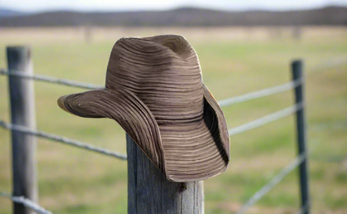 Dorfman Pacific Eldoris Western Hat- Brown