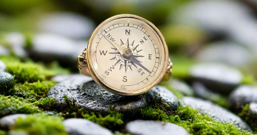 Elizabeth Ngo Antique Button RIng- Compass, Size 8.5