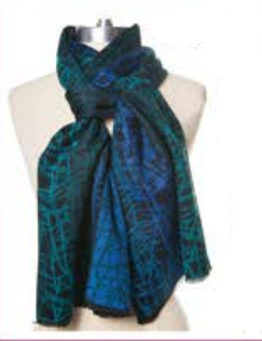 Rapti Fashion Cashmere Scarf- PSC163