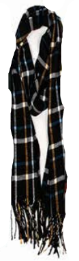 Rapti Fashion Men's Cashmere Scarf- CCS69