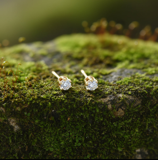 Mark Steel Jewelry  Earrings CZ4-gf