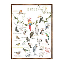Load image into Gallery viewer, Nature Birds Wooden Wall Decor - Kids room decor - First day of school gift - ABC 123 Kids - Homeschool I Educational Poster - Art for kids - Alphabet - Classroom Decor - 310214
