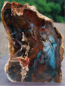 polished petrified wood slice-blue and copper