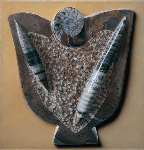 high polished genuine ammonite and orthoceras fossil