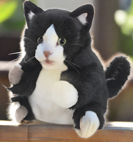 folkmanis tuxedo kitten puppet
